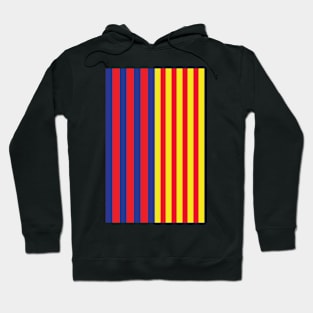 Barcelona Catalonia Flag Design Hoodie